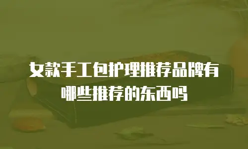 女款手工包护理推荐品牌有哪些推荐的东西吗
