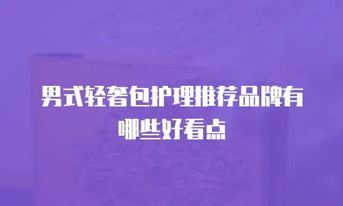 男式轻奢包护理推荐品牌有哪些好看点