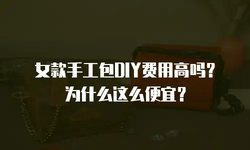 女款手工包DIY费用高吗？为什么这么便宜？