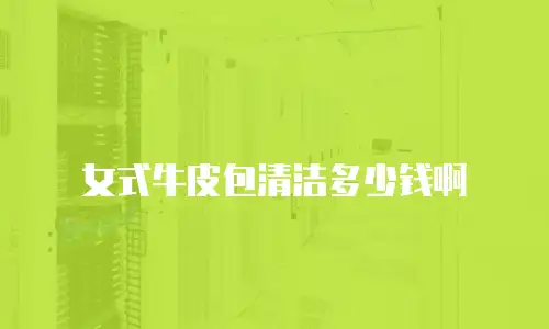 女式牛皮包清洁多少钱啊