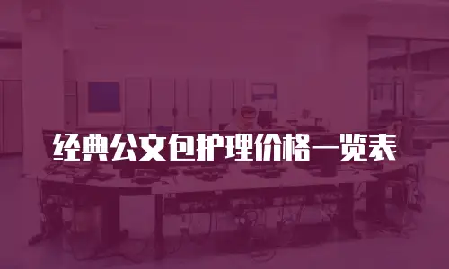 经典公文包护理价格一览表