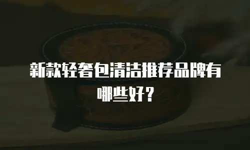 新款轻奢包清洁推荐品牌有哪些好？