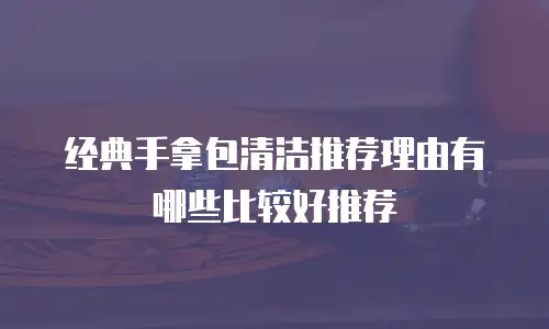经典手拿包清洁推荐理由有哪些比较好推荐