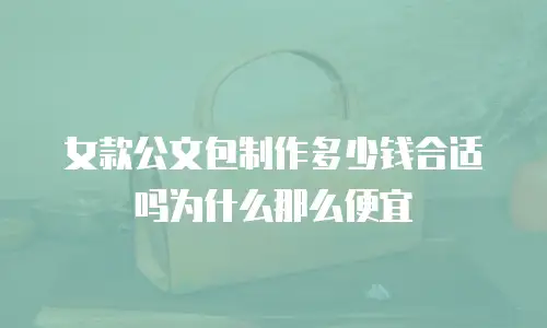 女款公文包制作多少钱合适吗为什么那么便宜