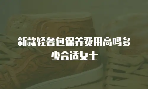 新款轻奢包保养费用高吗多少合适女士