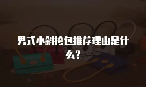 男式小斜挎包推荐理由是什么？