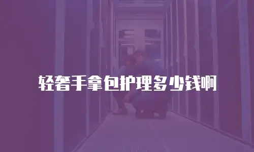 轻奢手拿包护理多少钱啊