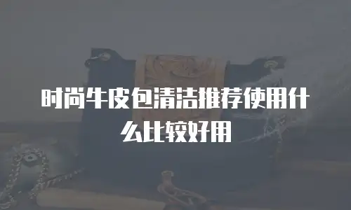 时尚牛皮包清洁推荐使用什么比较好用