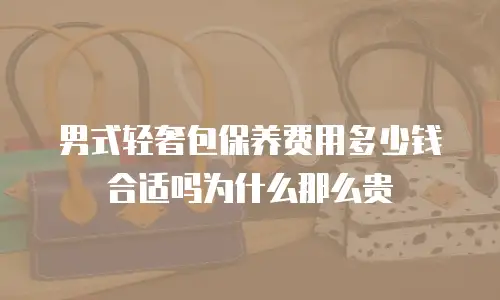 男式轻奢包保养费用多少钱合适吗为什么那么贵