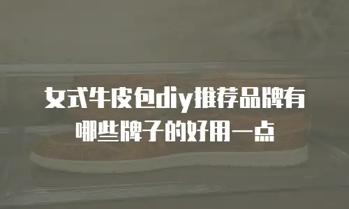 女式牛皮包diy推荐品牌有哪些牌子的好用一点