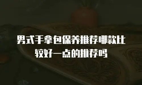 男式手拿包保养推荐哪款比较好一点的推荐吗
