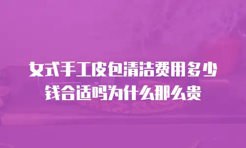 女式手工皮包清洁费用多少钱合适吗为什么那么贵