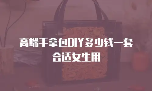 高端手拿包DIY多少钱一套合适女生用