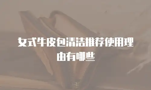 女式牛皮包清洁推荐使用理由有哪些