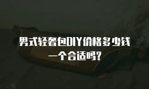 男式轻奢包DIY价格多少钱一个合适吗？