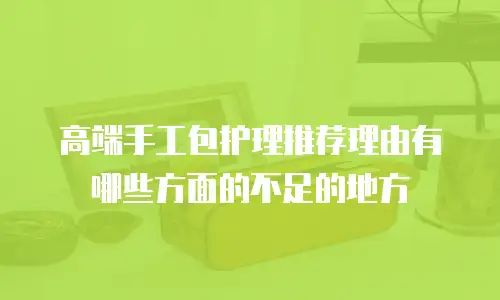 高端手工包护理推荐理由有哪些方面的不足的地方