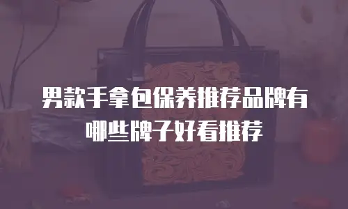 男款手拿包保养推荐品牌有哪些牌子好看推荐