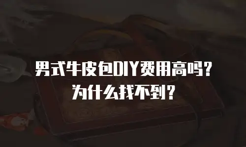 男式牛皮包DIY费用高吗？为什么找不到？