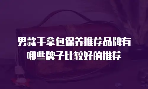 男款手拿包保养推荐品牌有哪些牌子比较好的推荐