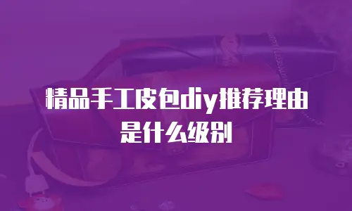 精品手工皮包diy推荐理由是什么级别