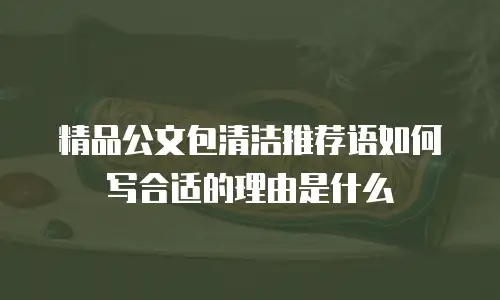 精品公文包清洁推荐语如何写合适的理由是什么