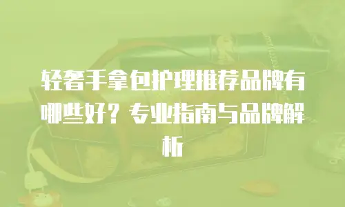 轻奢手拿包护理推荐品牌有哪些好？专业指南与品牌解析