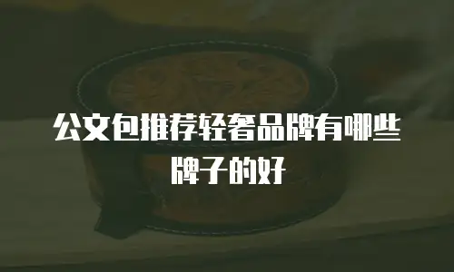 公文包推荐轻奢品牌有哪些牌子的好