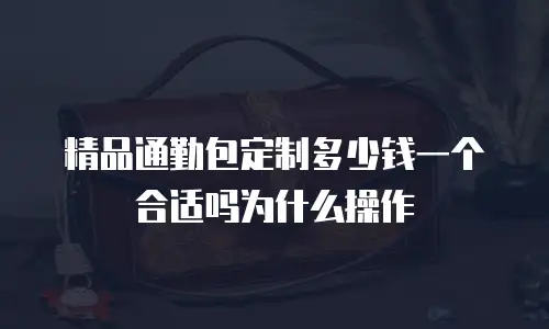 精品通勤包定制多少钱一个合适吗为什么操作