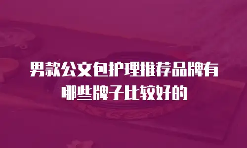 男款公文包护理推荐品牌有哪些牌子比较好的