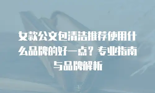女款公文包清洁推荐使用什么品牌的好一点？专业指南与品牌解析