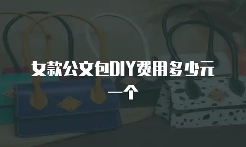 女款公文包DIY费用多少元一个