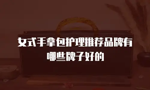 女式手拿包护理推荐品牌有哪些牌子好的