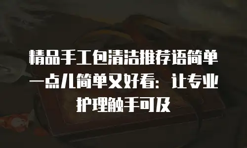 精品手工包清洁推荐语简单一点儿简单又好看：让专业护理触手可及