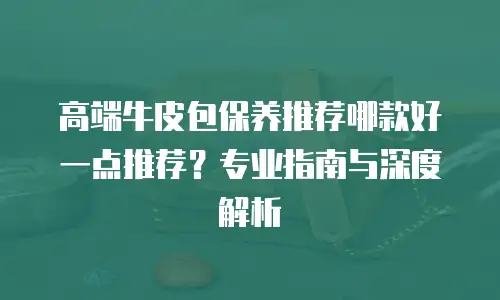 高端牛皮包保养推荐哪款好一点推荐？专业指南与深度解析