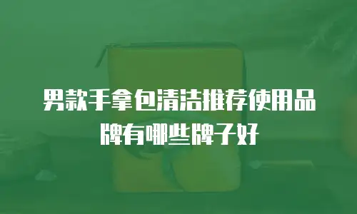 男款手拿包清洁推荐使用品牌有哪些牌子好