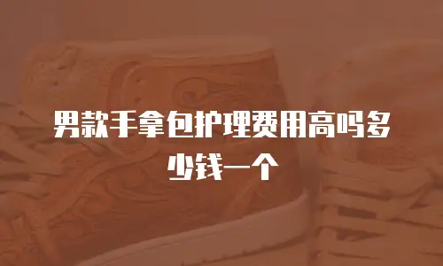 男款手拿包护理费用高吗多少钱一个
