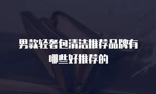 男款轻奢包清洁推荐品牌有哪些好推荐的