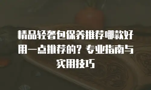 精品轻奢包保养推荐哪款好用一点推荐的？专业指南与实用技巧