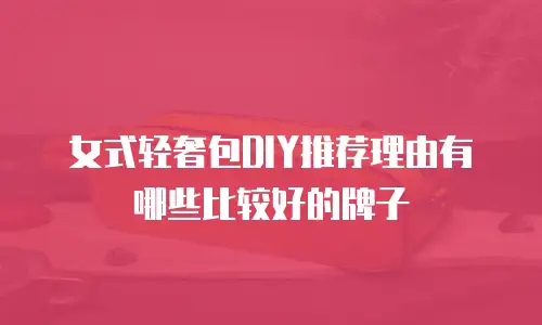 女式轻奢包DIY推荐理由有哪些比较好的牌子