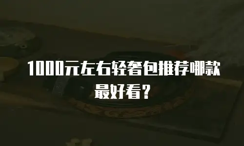 1000元左右轻奢包推荐哪款最好看？