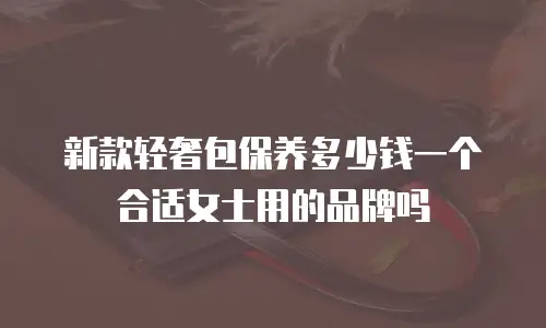 新款轻奢包保养多少钱一个合适女士用的品牌吗