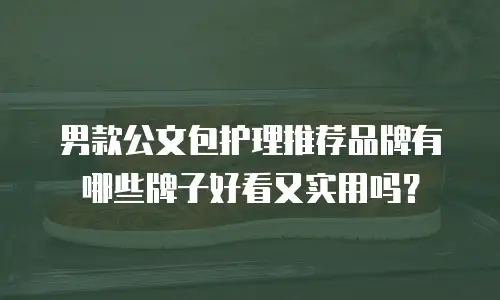 男款公文包护理推荐品牌有哪些牌子好看又实用吗？