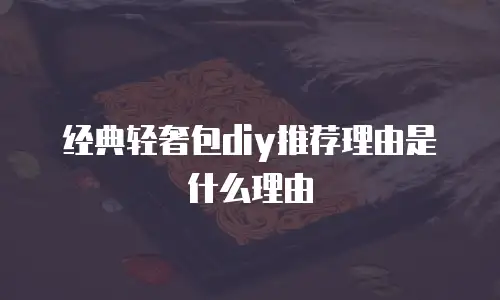 经典轻奢包diy推荐理由是什么理由