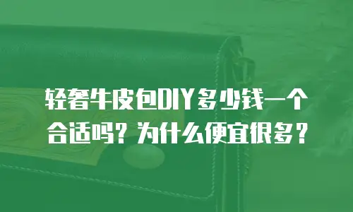 轻奢牛皮包DIY多少钱一个合适吗？为什么便宜很多？