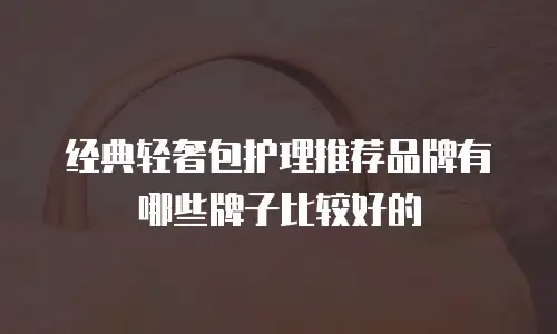 经典轻奢包护理推荐品牌有哪些牌子比较好的