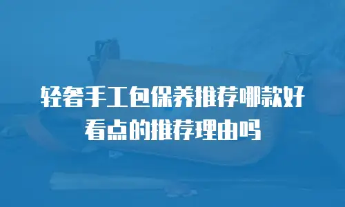 轻奢手工包保养推荐哪款好看点的推荐理由吗