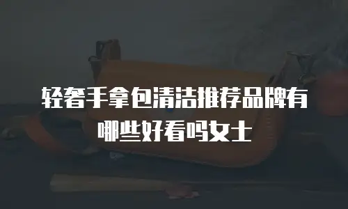 轻奢手拿包清洁推荐品牌有哪些好看吗女士
