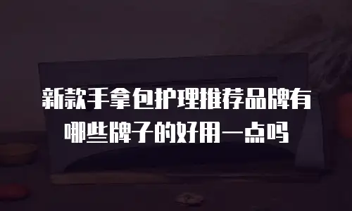 新款手拿包护理推荐品牌有哪些牌子的好用一点吗
