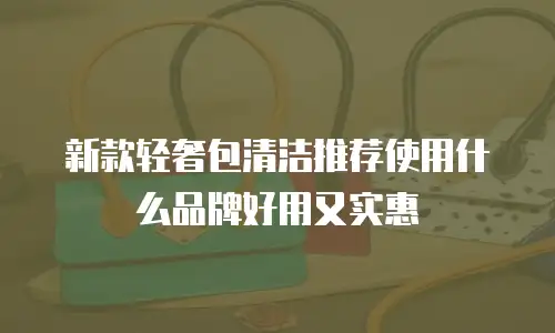 新款轻奢包清洁推荐使用什么品牌好用又实惠