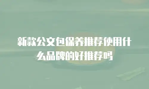 新款公文包保养推荐使用什么品牌的好推荐吗